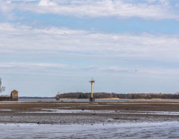 View of marshland near the Baxter Water Treatment Plant in Philadelphia.