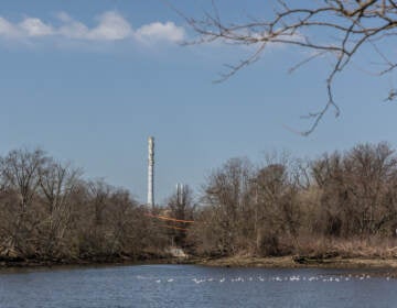 The point where the Otter Creek meets the Delaware River, south of the Bristol Marsh Preserve, at Delaware Canal State Park in Bristol, Pa. (Kimberly Paynter/WHYY)