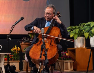 Yo-Yo Ma performs