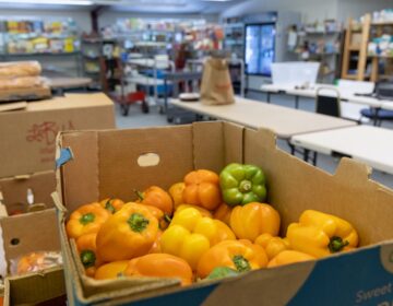 A box of bell peppers sitting on a table