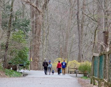 Hikers in Ridley State Park in Media, Pa.