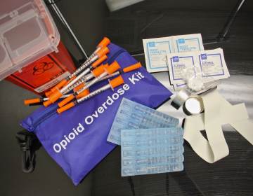 A kit includes clean needles, sterile water, and more