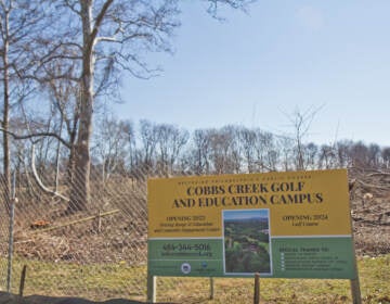 File photo: Many trees were felled as part of the restoration and renovation of the Cobbs Creek golf course and community engagement center, as seen on Feb. 27, 2022. (Kimberly Paynter/WHYY)