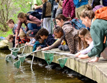 Annual Naturpalooza at Schuylkill Center for Environmental Education