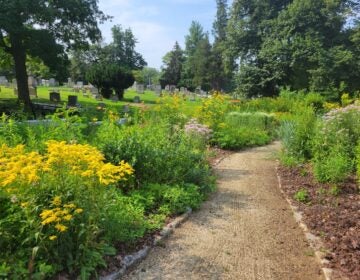 West Laurel Hill Cemetery's 