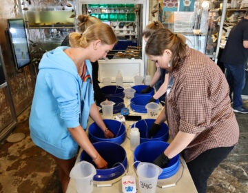 workers with their hands in buckets