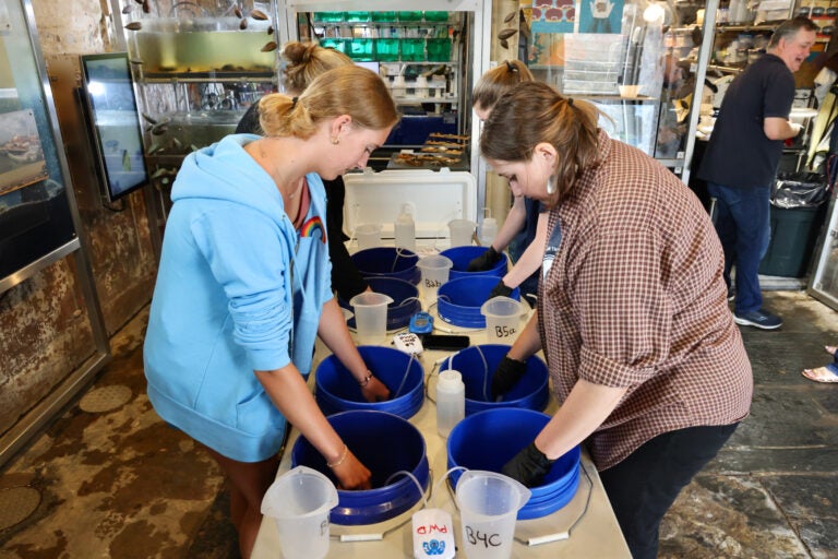 workers with their hands in buckets