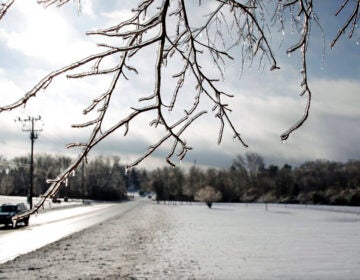 A tree branch encased in ice is visible in the foreground. In the background is a snow-covered field and a car driving on a road.