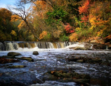 Water flows down the Wissahickon Creek