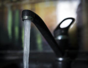 Water pouring from a kitchen sink