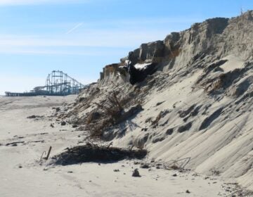 beach with an eroded dune