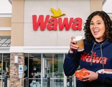 Delishtory: Wawa