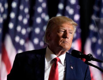 Former President Donald Trump speaks during a rally,