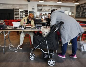 Melissa Lewis brought her dog, Poppy, to her polling place at the Museum of the American Revolution