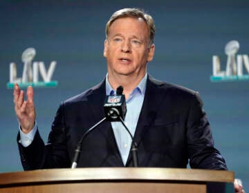 NFL Commissioner Roger Goodell. (David J. Phillip/AP)