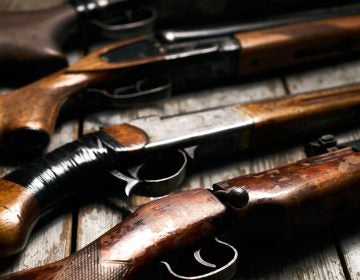 Collection of hunting rifles (Bigstockphoto.com)