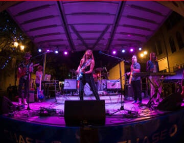 Performers at the LadyBug Music Festival. (Courtesy of LadyBug Music Festival)