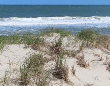 The ocean horizon at Long Beach Township