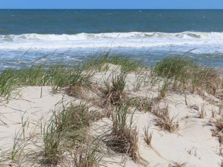 The ocean horizon at Long Beach Township