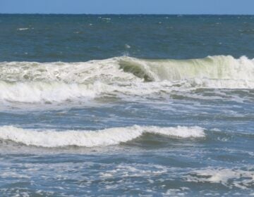 Water at Long Beach Township