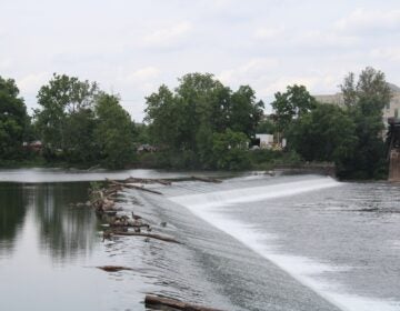 the Schuylkill River