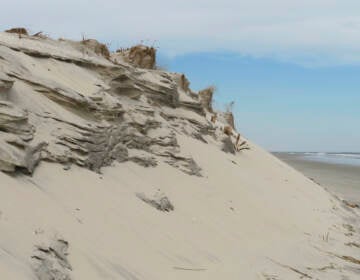 A dune at the beach