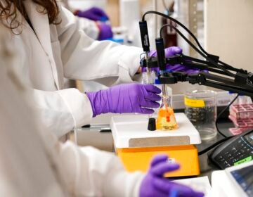 Researchers test water samples in a lab