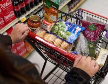 Shopping cart filled with food at the supermarket