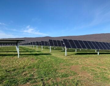 A solar field in Franklin County