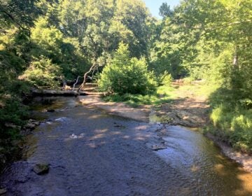 White Clay Creek State Park