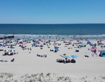 People relaxing at the beach