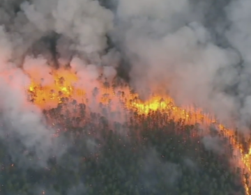 a 2022 wildfire in Wharton State Forest