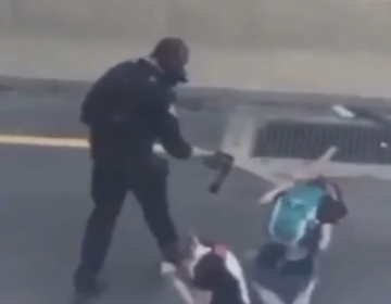 police officer pepper spraying a protester