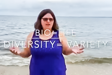 Biodiversity in the Delaware Bay