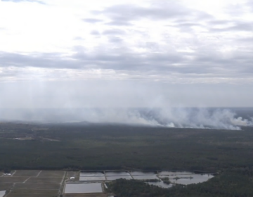 A N.J. wildfire